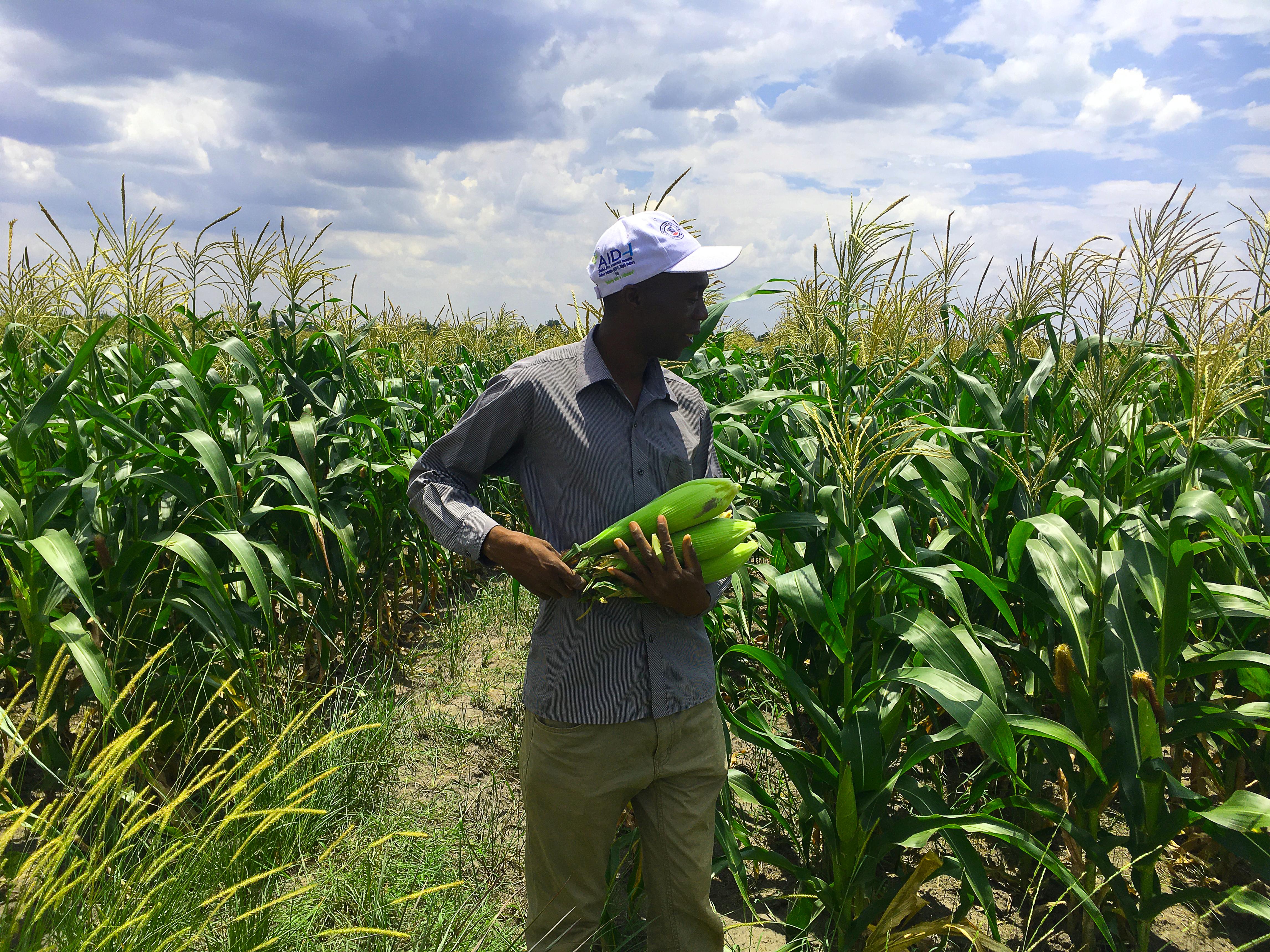 Why Malawi funds maize more than livestock: A Political Economy explanation.